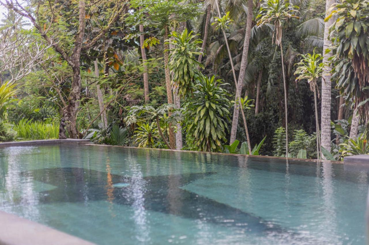 Suara Air Luxury * Ubud